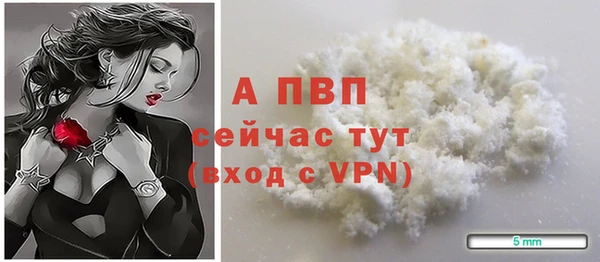 твердый Корсаков