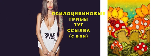 твердый Корсаков