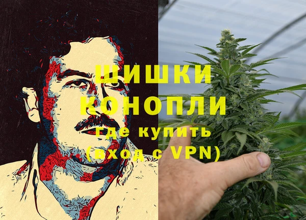 твердый Корсаков