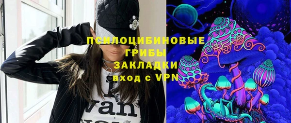 прущие грибы Шадринск