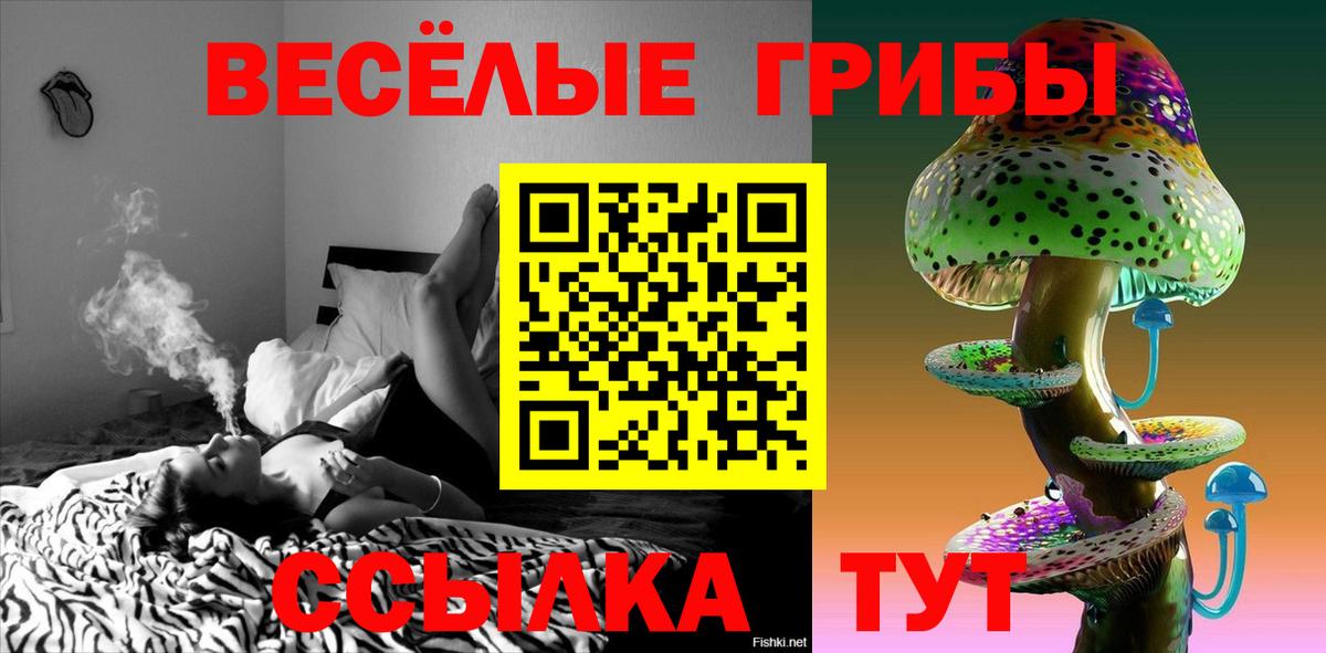 Псилоцибиновые грибы Psilocybine cubensis  Вход с VPN  Альметьевск 