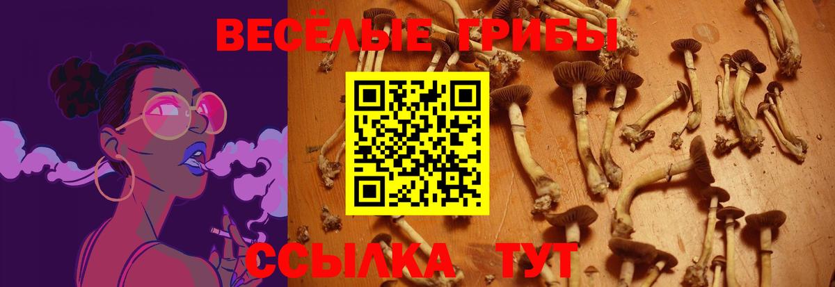 Галлюциногенные грибы MAGIC MUSHROOMS Альметьевск